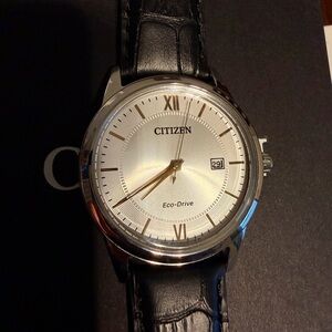 Citizen Eco-Drive Silver Dial Black Strap Watch